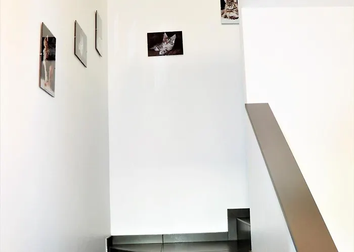 Maison Familiale Spacieuse, Animaux Acceptés à - Fr-1-744-51