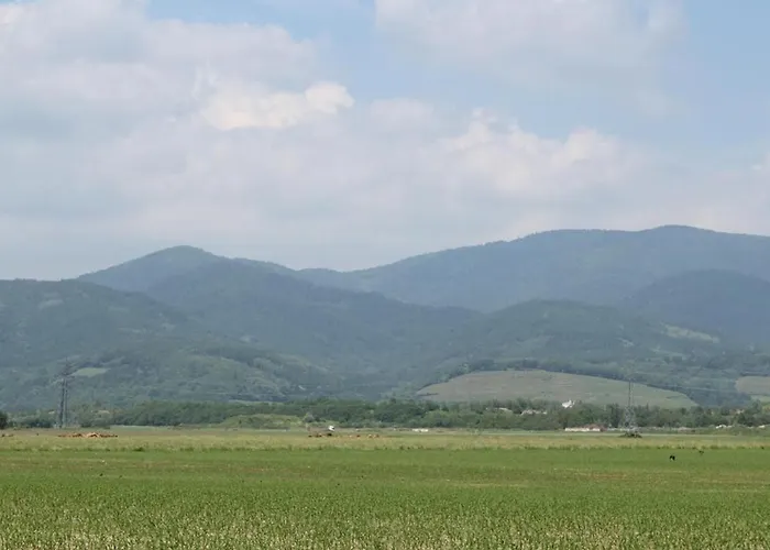 Hébergement de vacances Maison Familiale Spacieuse, Animaux Acceptés à - Fr-1-744-51 *